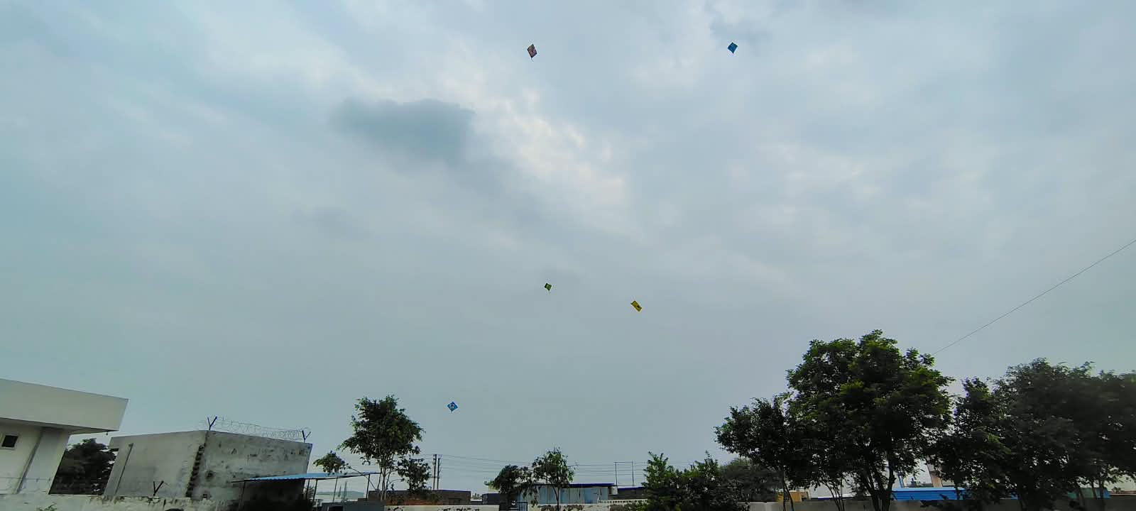 Kite Festival